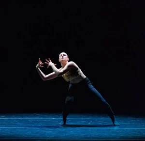 Arte - Danza - gala final mes de la Danza - Alberto Ventura Studio