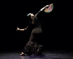 Arte - Danza -gala final - victoria eugenia - peineta del viento - 2018 - Alberto Ventura Studio