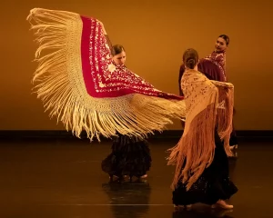 Arte - Danza -gala final - victoria eugenia - peineta del viento - Alberto Ventura Studio