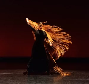 Arte - Danza - pañuelo al viento - Alberto Ventura Studio
